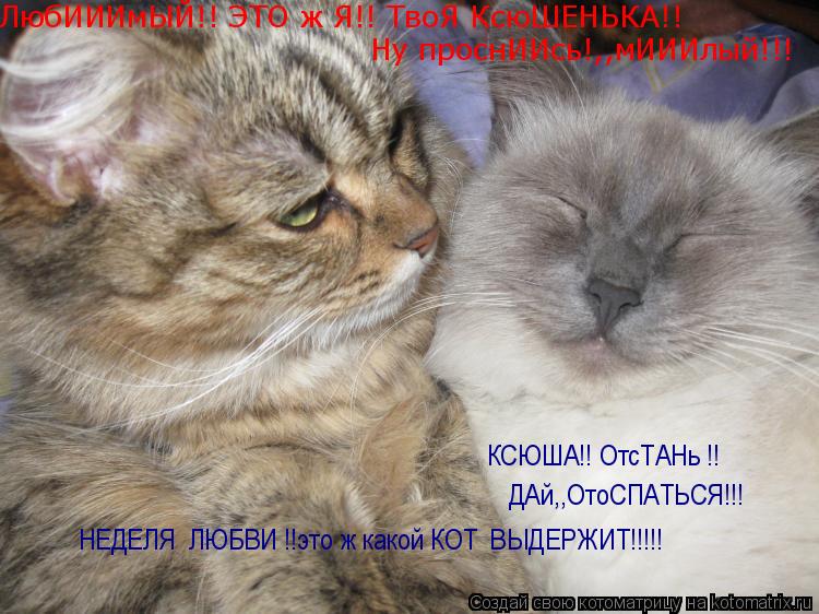 ЛюбИИИмЫЙ!! ЭТО ж Я!! ТвоЯ КсюШЕНЬКА!! Ну проснИИсь!,,мИИИлый!!! КСЮША!! ОтсТАНь !! ДАй,,ОтоСПАТЬСЯ!!... Котоматрица: ЛюбИИИмЫЙ!! ЭТО ж Я!! ТвоЯ КсюШЕНЬКА!! Ну проснИИсь!,,мИИИлый!!! КСЮША!! ОтсТАНь !! ДАй,,ОтоСПАТЬСЯ!!! НЕДЕЛЯ ЛЮБВИ !!это ж какой КОТ ВЫДЕРЖИТ!!!!!