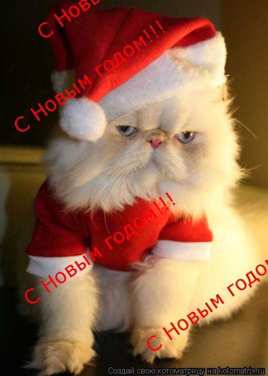 С Новым годом!!! С Новым годом!!! С Новым годом!!! С Новым годом!!!... Котоматрица: С Новым годом!!! С Новым годом!!! С Новым годом!!! С Новым годом!!!
