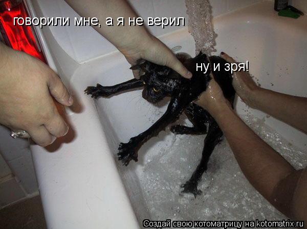 говорили мне, а я не верил ну и зря!... Котоматрица: говорили мне, а я не верил ну и зря!
