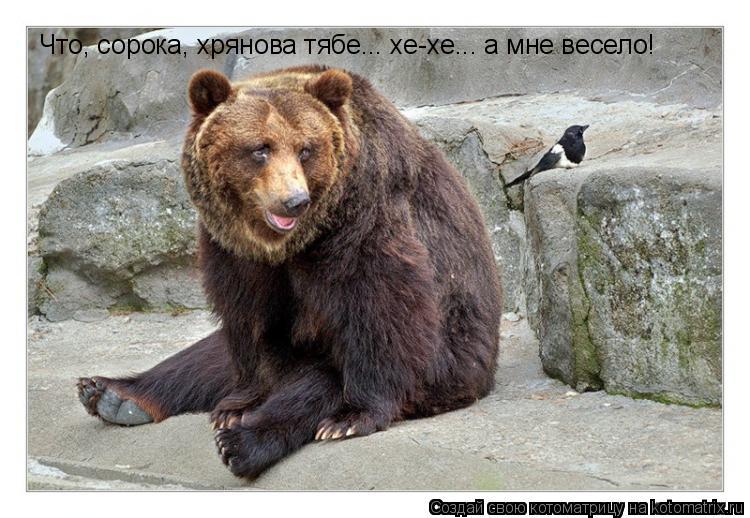 Что, сорока, хрянова тябе... хе-хе... а мне весело!... Котоматрица: Что, сорока, хрянова тябе... хе-хе... а мне весело!