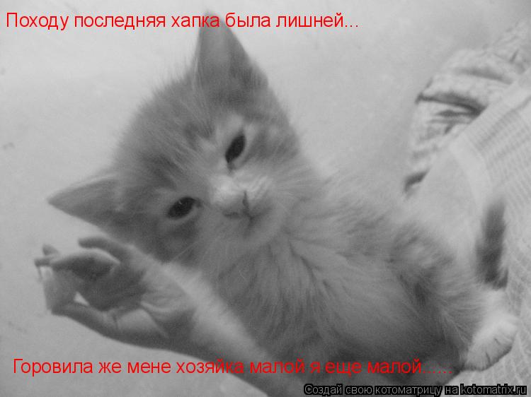 Походу последняя хапка была лишней... Горовила же мене хозяйка малой я еще малой......... Котоматрица: Походу последняя хапка была лишней... Горовила же мене хозяйка малой я еще малой......