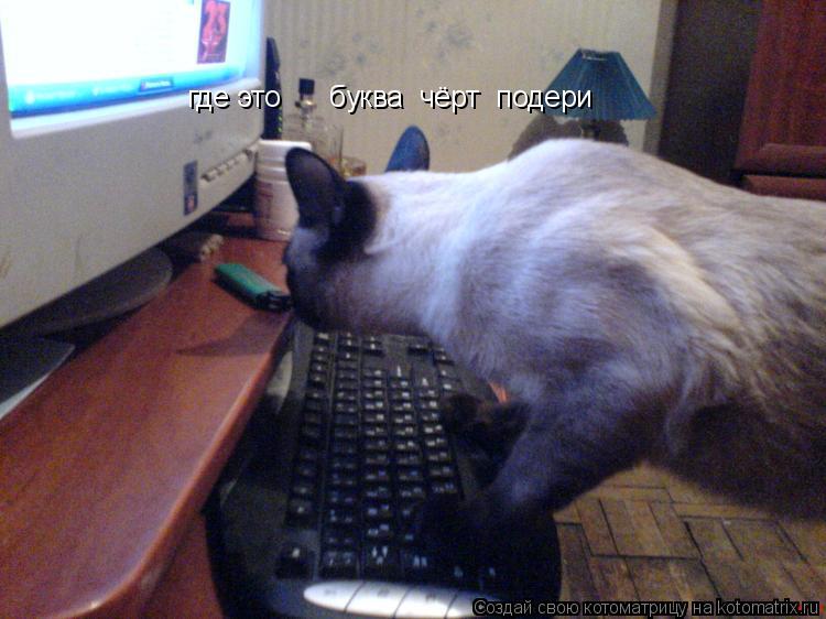 где это буква чёрт подери... Котоматрица: где это буква чёрт подери