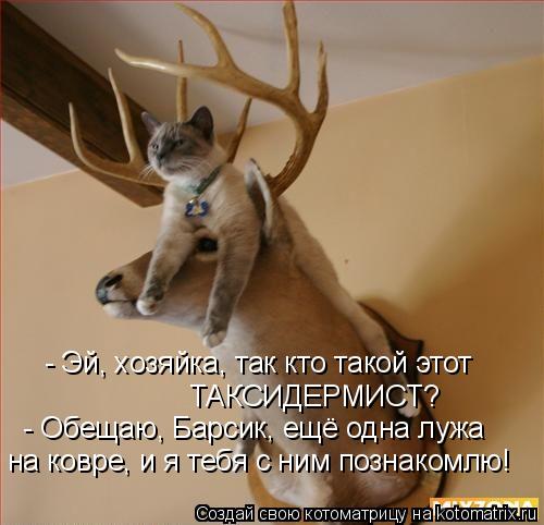 - Эй, хозяйка, так кто такой этот ТАКСИДЕРМИСТ? - Обещаю, Барсик, ещё одна лужа на ковре, и я тебя с... Котоматрица: - Эй, хозяйка, так кто такой этот ТАКСИДЕРМИСТ? - Обещаю, Барсик, ещё одна лужа на ковре, и я тебя с ним познакомлю!