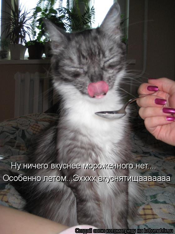 Особенно летом...Эхххх вкуснятищааааааа Ну ничего вкуснее мороженного нет....... Котоматрица: Особенно летом...Эхххх вкуснятищааааааа Ну ничего вкуснее мороженного нет....