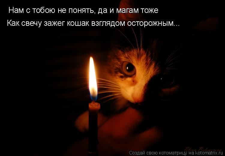 Нам с тобою не понять, да и магам тоже Как свечу зажег кошак взглядом осторожным...... Котоматрица: Нам с тобою не понять, да и магам тоже Как свечу зажег кошак взглядом осторожным...