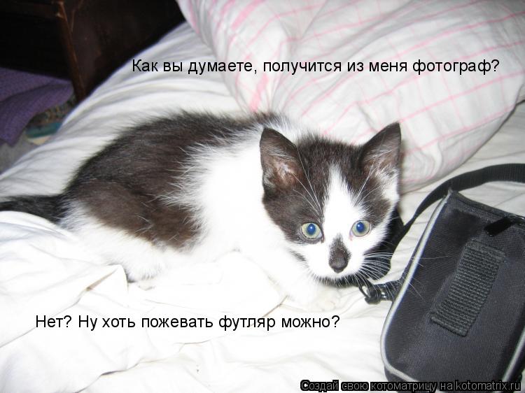 Как вы думаете, получится из меня фотограф? Нет? Ну хоть пожевать футляр можно?... Котоматрица: Как вы думаете, получится из меня фотограф? Нет? Ну хоть пожевать футляр можно?