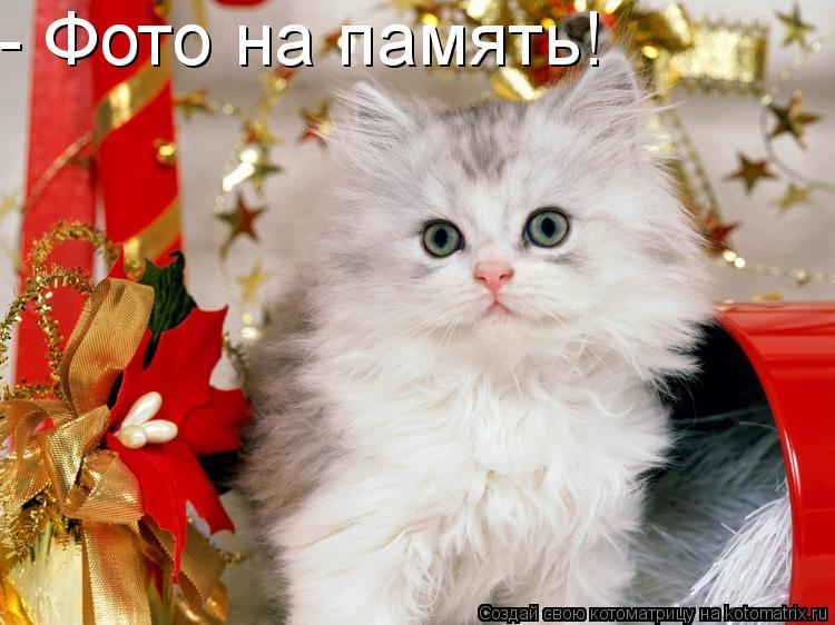 - Фото на память!... Котоматрица: - Фото на память!