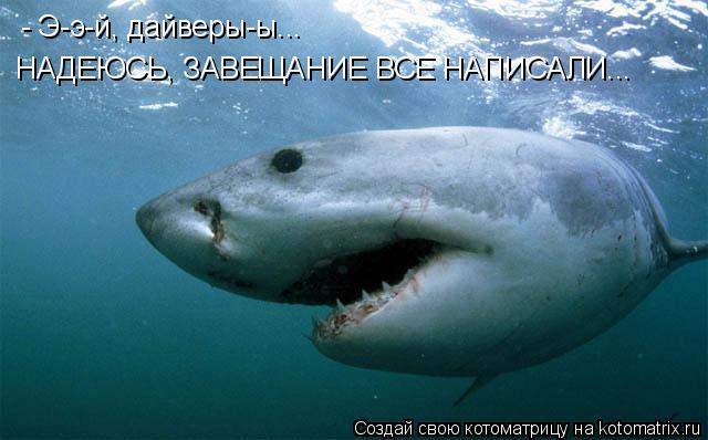 - Э-э-й, дайверы-ы... НАДЕЮСЬ, ЗАВЕЩАНИЕ ВСЕ НАПИСАЛИ...... Котоматрица: - Э-э-й, дайверы-ы... НАДЕЮСЬ, ЗАВЕЩАНИЕ ВСЕ НАПИСАЛИ...