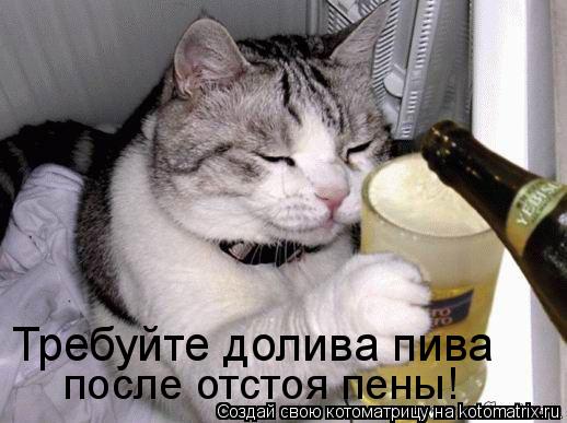 после отстоя пены! Требуйте долива пива... Котоматрица: после отстоя пены! Требуйте долива пива