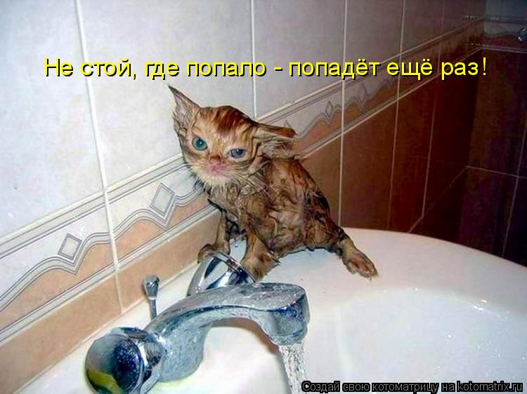 Не стой, где попало - попадёт ещё раз !... Котоматрица: Не стой, где попало - попадёт ещё раз !
