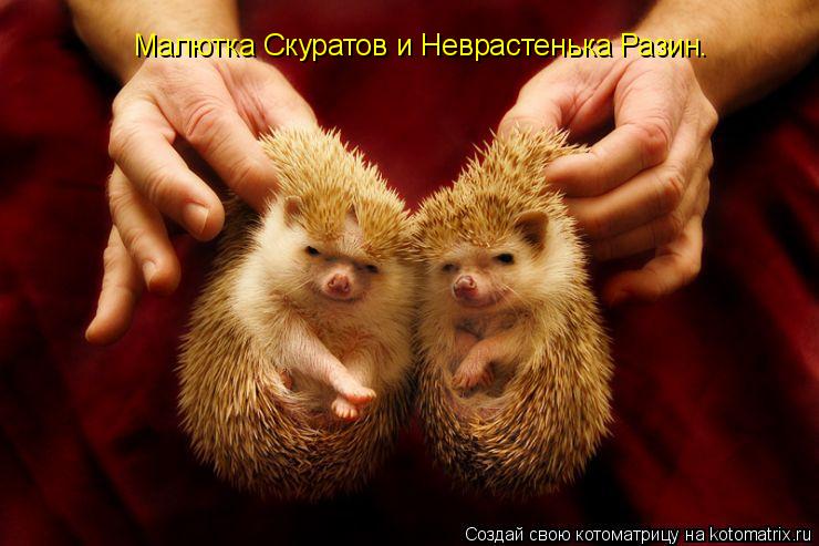 Малютка Скуратов и Неврастенька Разин.... Котоматрица: Малютка Скуратов и Неврастенька Разин.