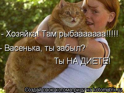 - Хозяйка! Там рыбааааааа!!!!! - Васенька, ты забыл? Ты НА ДИЕТЕ!... Котоматрица: - Хозяйка! Там рыбааааааа!!!!! - Васенька, ты забыл? Ты НА ДИЕТЕ!