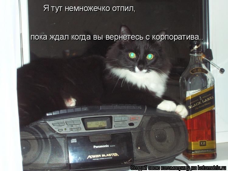 Я тут немножечко отпил, пока ждал когда вы вернетесь с корпоратива..... Котоматрица: Я тут немножечко отпил, пока ждал когда вы вернетесь с корпоратива..