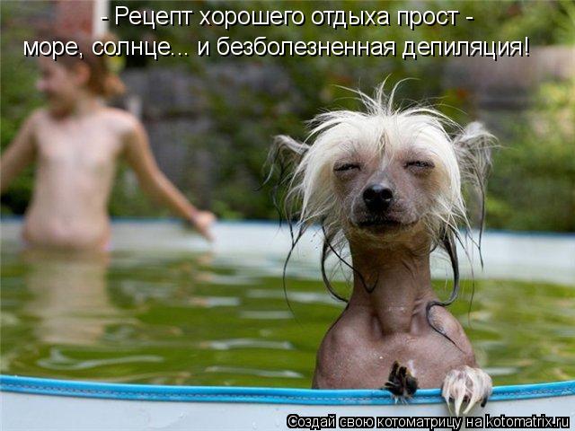 - Рецепт хорошего отдыха прост - море, солнце... и безболезненная депиляция!... Котоматрица: - Рецепт хорошего отдыха прост - море, солнце... и безболезненная депиляция!
