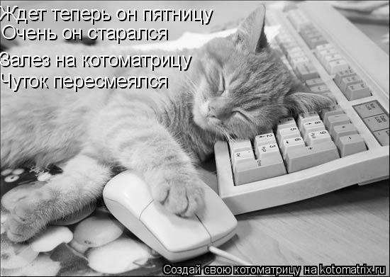 Залез на котоматрицу Чуток пересмеялся Очень он старался Ждет теперь он пятницу... Котоматрица: Залез на котоматрицу Чуток пересмеялся Очень он старался Ждет теперь он пятницу