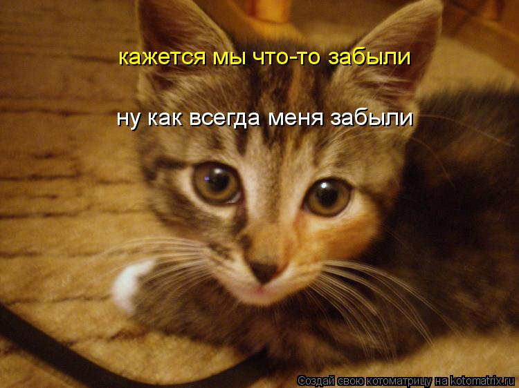 кажется мы что-то забыли ну как всегда меня забыли... Котоматрица: кажется мы что-то забыли ну как всегда меня забыли