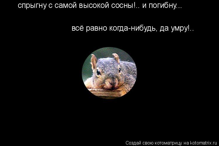 спрыгну с самой высокой сосны!.. и погибну... всё равно когда-нибудь, да умру!..... Котоматрица: спрыгну с самой высокой сосны!.. и погибну... всё равно когда-нибудь, да умру!..