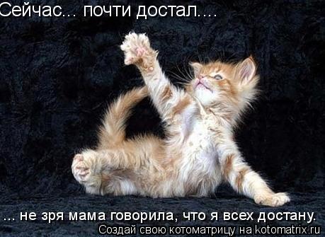 Сейчас... почти достал.... ... не зря мама говорила, что я всех достану.... Котоматрица: Сейчас... почти достал.... ... не зря мама говорила, что я всех достану.