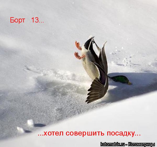 Борт № 13... ...хотел совершить посадку...... Котоматрица: Борт № 13... ...хотел совершить посадку...
