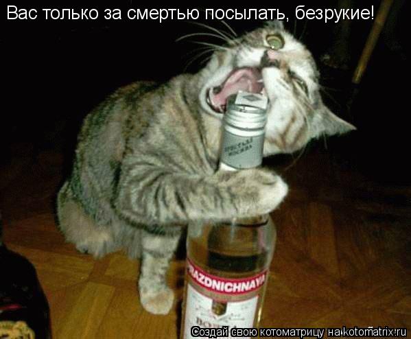 Вас только за смертью посылать, безрукие!... Котоматрица: Вас только за смертью посылать, безрукие!