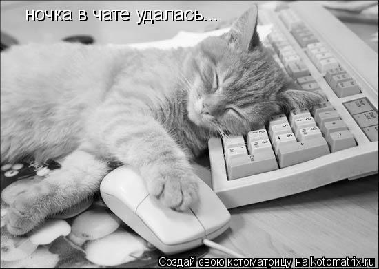 ночка в чате удалась...... Котоматрица: ночка в чате удалась...