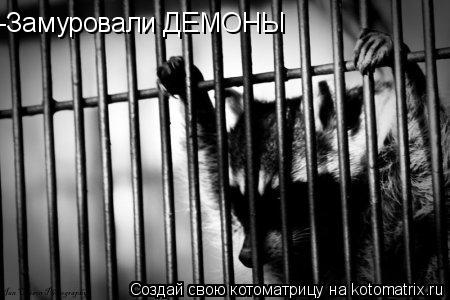 -Замуровали ДЕМОНЫ... Котоматрица: -Замуровали ДЕМОНЫ