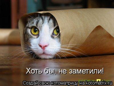 Хоть бы, не заметили!... Котоматрица: Хоть бы, не заметили!