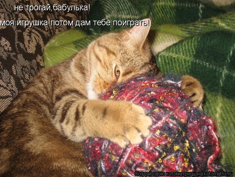 не трогай,бабулька! моя игрушка!потом дам тебе поиграть!... Котоматрица: не трогай,бабулька! моя игрушка!потом дам тебе поиграть!