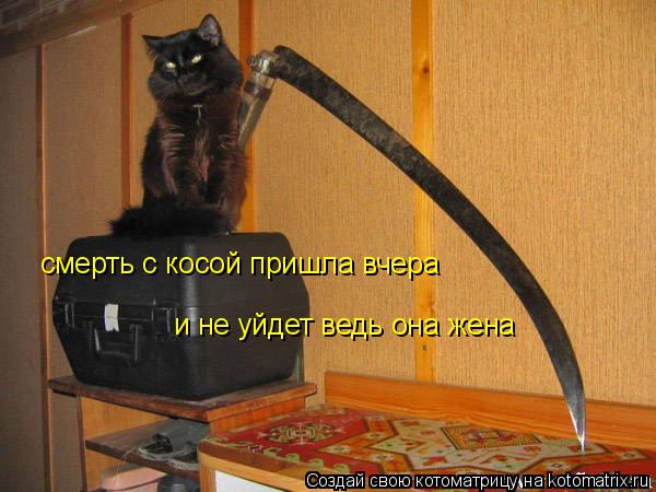 смерть с косой пришла вчера и не уйдет ведь она жена... Котоматрица: смерть с косой пришла вчера и не уйдет ведь она жена