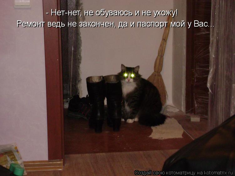 - Нет-нет, не обуваюсь и не ухожу! Ремонт ведь не закончен, да и паспорт мой у Вас...... Котоматрица: - Нет-нет, не обуваюсь и не ухожу! Ремонт ведь не закончен, да и паспорт мой у Вас...
