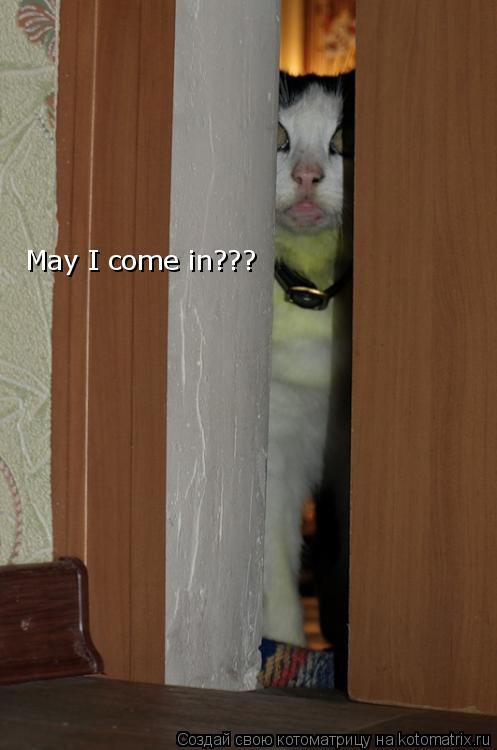 May I come in???... Котоматрица: May I come in???
