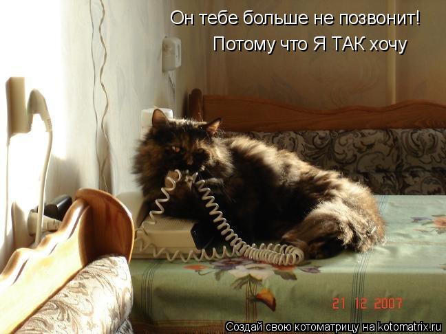 Котоматрица: Он тебе больше не позвонит! Потому что Я ТАК хочу