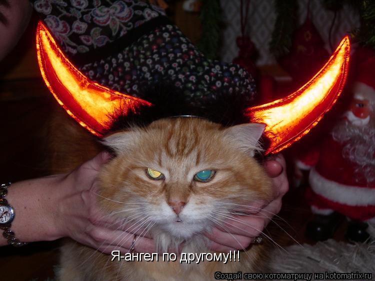 Котоматрица: Я-ангел по другому!!!