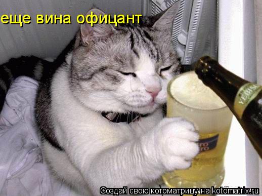 еще вина офицант... Котоматрица: еще вина офицант