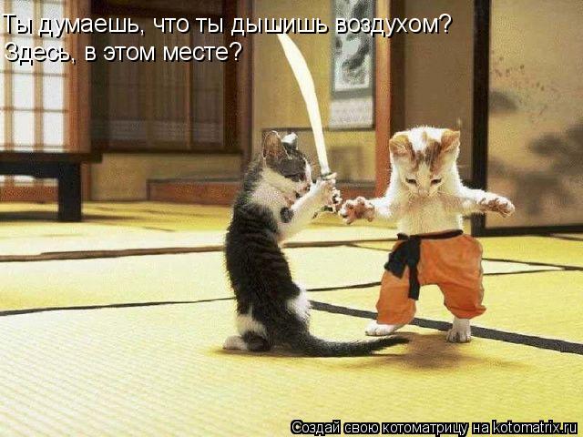Ты думаешь, что ты дышишь воздухом? Здесь, в этом месте?... Котоматрица: Ты думаешь, что ты дышишь воздухом? Здесь, в этом месте?