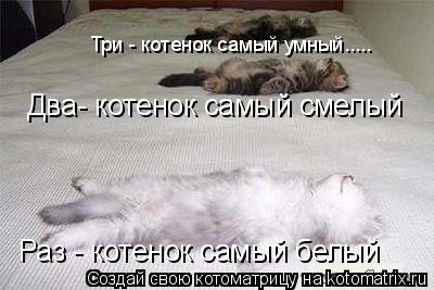 Раз - котенок самый белый Два- котенок самый смелый Три - котенок самый умный........ Котоматрица: Раз - котенок самый белый Два- котенок самый смелый Три - котенок самый умный.....