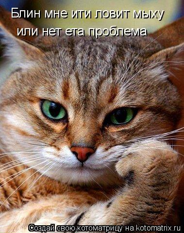 Блин мне ити ловит мыху или нет ета проблема... Котоматрица: Блин мне ити ловит мыху или нет ета проблема