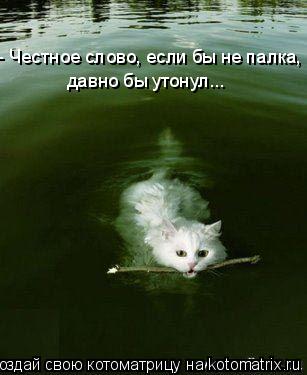 - Честное слово, если бы не палка, давно бы утонул...... Котоматрица: - Честное слово, если бы не палка, давно бы утонул...