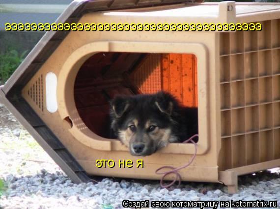эээээээээээээээээээээээээээээээээээээээ это не я... Котоматрица: эээээээээээээээээээээээээээээээээээээээ это не я