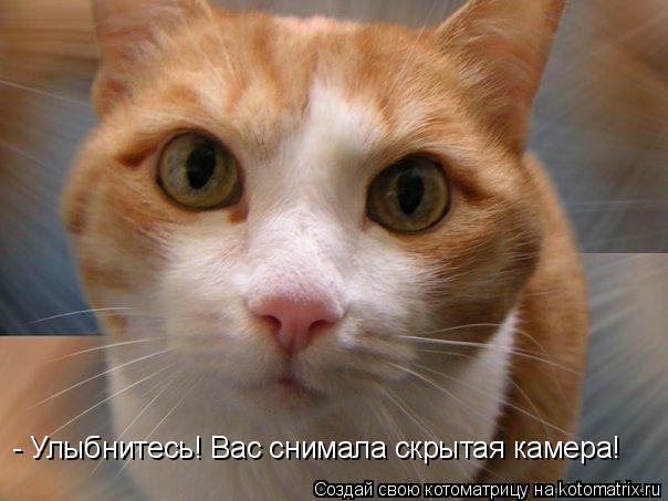 - Улыбнитесь! Вас снимала скрытая камера!... Котоматрица: - Улыбнитесь! Вас снимала скрытая камера!