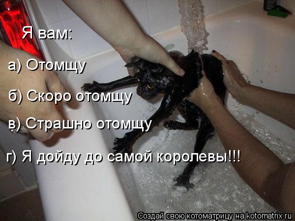 в) Страшно отомщу б) Скоро отомщу а) Отомщу Я вам: г) Я дойду до самой королевы!!!... Котоматрица: в) Страшно отомщу б) Скоро отомщу а) Отомщу Я вам: г) Я дойду до самой королевы!!!