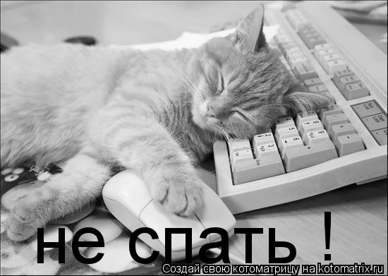 не спать !... Котоматрица: не спать !