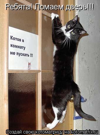 Ребята! Ломаем дверь!!!... Котоматрица: Ребята! Ломаем дверь!!!