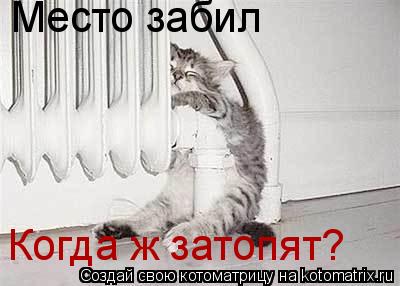 Место забил Когда ж затопят?... Котоматрица: Место забил Когда ж затопят?