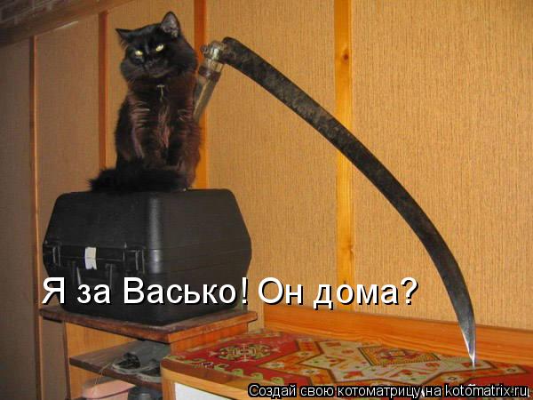 Я за Васько! Он дома?... Котоматрица: Я за Васько! Он дома?