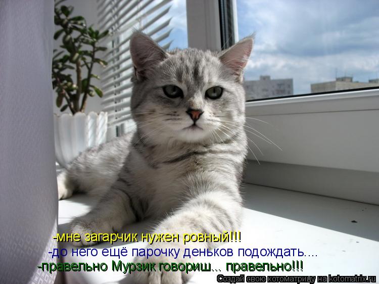-до него ещё парочку деньков подождать.... -правельно Мурзик говориш... правельно!!! -мне загарчик ну... Котоматрица: -до него ещё парочку деньков подождать.... -правельно Мурзик говориш... правельно!!! -мне загарчик нужен ровный!!!