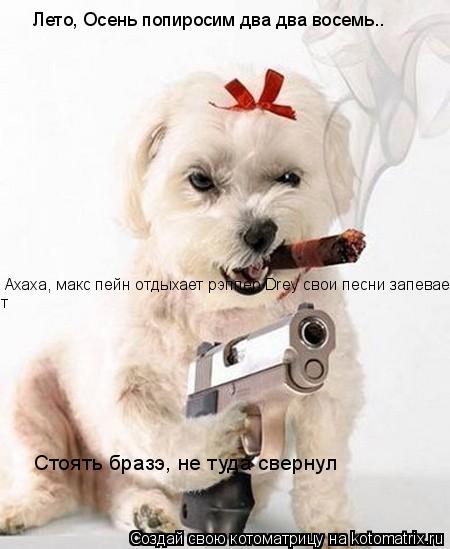 Лето, Осень попиросим два два восемь.. Ахаха, макс пейн отдыхает рэппер Drey свои песни запевает т Ст... Котоматрица: Лето, Осень попиросим два два восемь.. Ахаха, макс пейн отдыхает рэппер Drey свои песни запевает т Стоять бразэ, не туда свернул