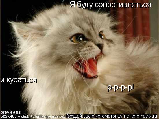 Я буду сопротивляться и кусаться р-р-р-р!... Котоматрица: Я буду сопротивляться и кусаться р-р-р-р!