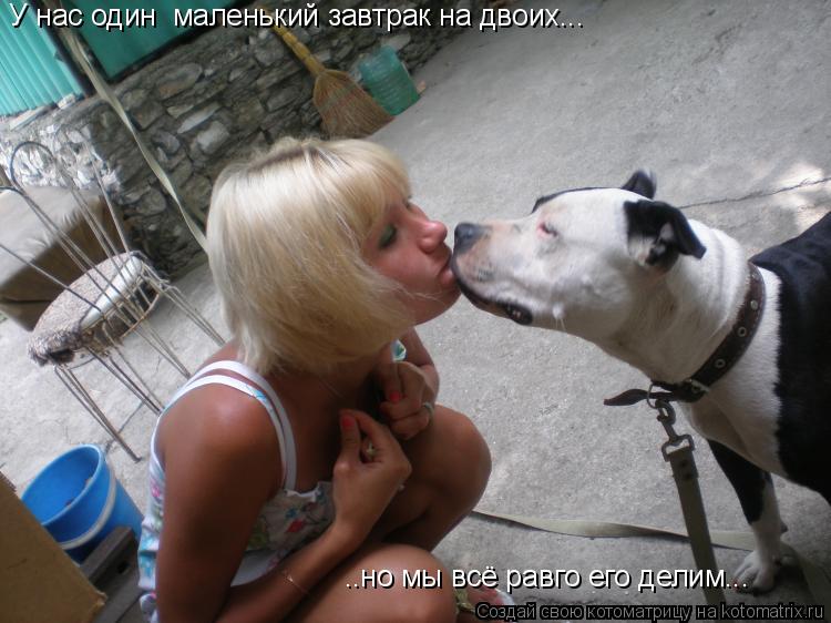 У нас один маленький завтрак на двоих... ..но мы всё равго его делим...... Котоматрица: У нас один маленький завтрак на двоих... ..но мы всё равго его делим...
