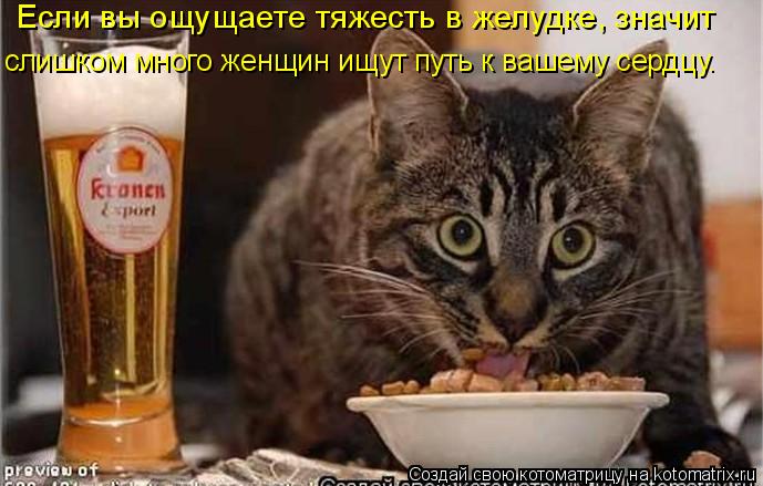 слишком много женщин ищут путь к вашему сердцу. Если вы ощущаете тяжесть в желудке, значит... Котоматрица: слишком много женщин ищут путь к вашему сердцу. Если вы ощущаете тяжесть в желудке, значит